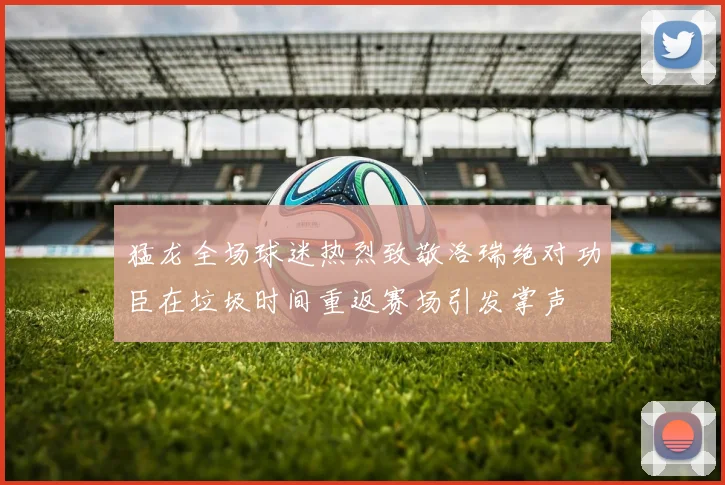 猛龙全场球迷热烈致敬洛瑞绝对功臣在垃圾时间重返赛场引发掌声