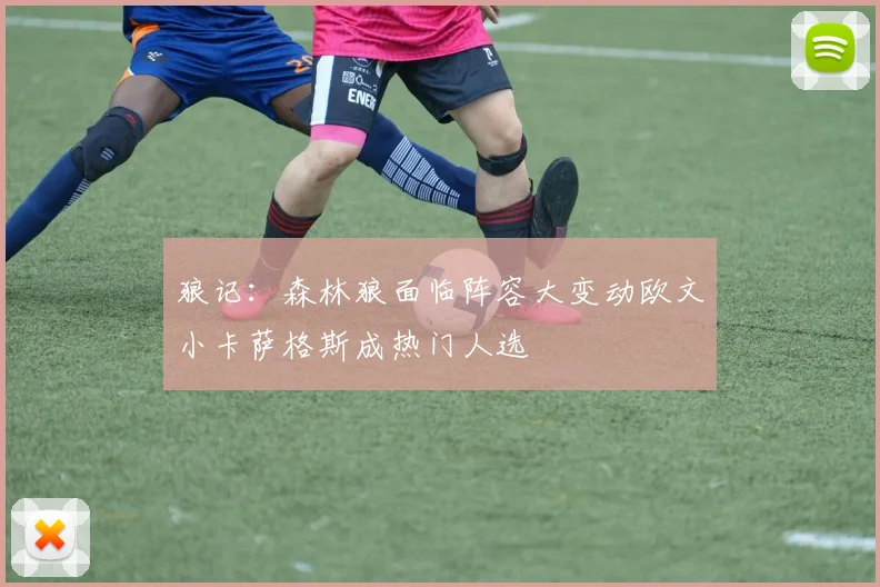狼记：森林狼面临阵容大变动欧文小卡萨格斯成热门人选