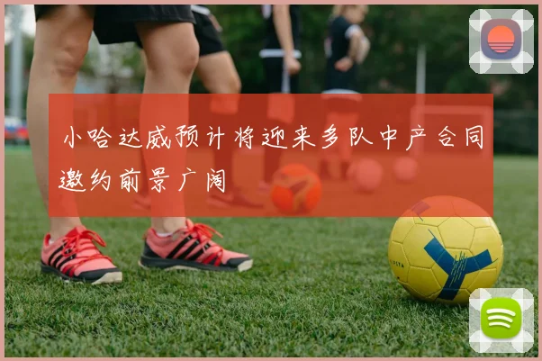 小哈达威预计将迎来多队中产合同邀约前景广阔